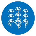 Lavender Flowers icon