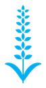 Lavender icon