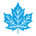Leaf icon