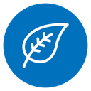 Leaf 2 icon