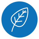 Leaf icon