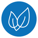 Leaf icon