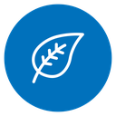 Leaf Color Filled icon