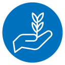 Leaf in hand icon