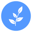 Leaf icon