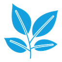 Leafs icon