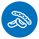 Legume icon