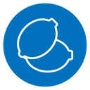 Lemon icon