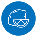 Lemon Slice icon