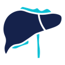 Liver 2 icon