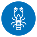 Lobster icon
