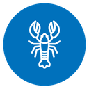Lobster 2 icon