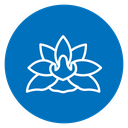 Lotus Flower icon