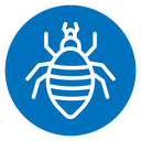 Louse icon