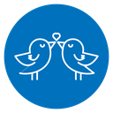 Lover birds icon