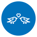 Lover birds icon