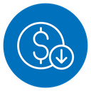 Lower cost icon