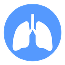 Lung icon