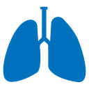 Lung icon