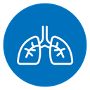 Lung icon