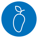 Mango icon