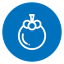 Mangosteen icon