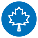 Maple leaf icon