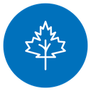 Maple Leaf 3 icon