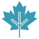 Maple Leaf 5 icon