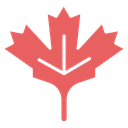 Maple leaf icon