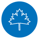 Maple Leaf icon