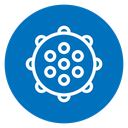 Massage ball 2 icon