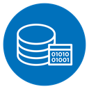 Master data icon