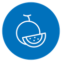 Melon 3 icon