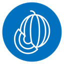 Melon 2 icon