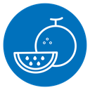 Melon icon
