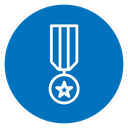 Military medal icon