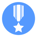 Military medal icon
