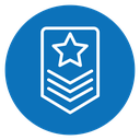 Military rank badge icon