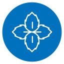 Mint Leaves Color Filled icon