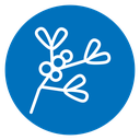 Mistletoe icon