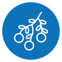 Mistletoe icon