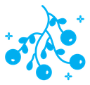 Mistletoe icon