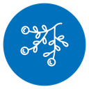 Molecular Structure icon