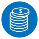 Money coin icon