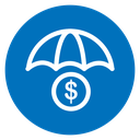 Money Insurance icon