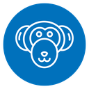 Monkey 2 icon