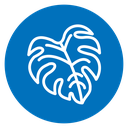 Monstera deliciosa plant leaf icon