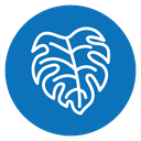 Monstera deliciosa plant leaf icon