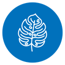 Monstera Leaf icon